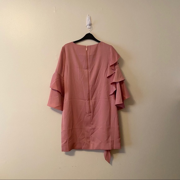 Ted Baker London Ruffle Tunic Dress - Picture 6 of 9